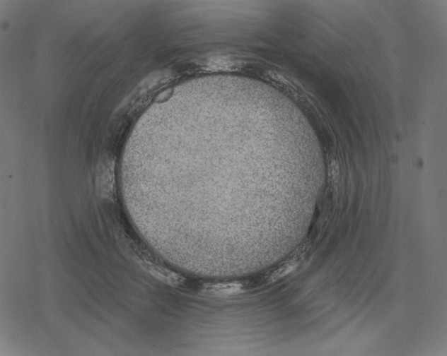 X0000078280554200612011747