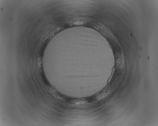 X0000078280555200612011747