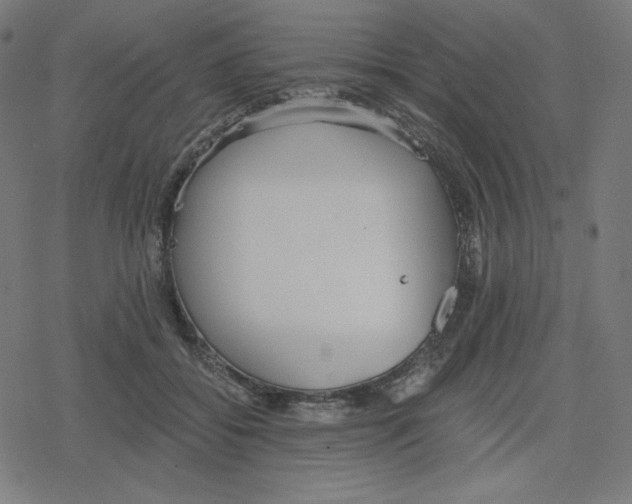 X0000078280556200612011747