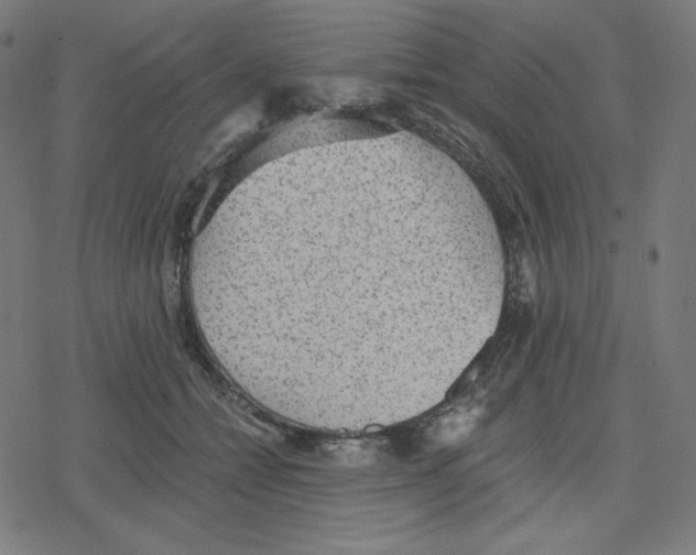 X0000078280558200612011747