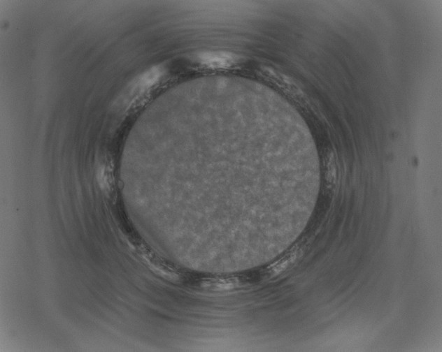 X0000078280559200612011747