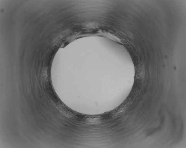 X0000078280560200612011747