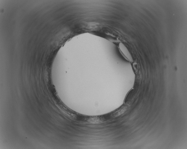 X0000078280562200612011747