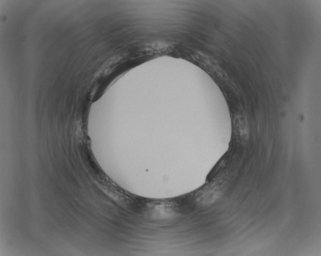 X0000078280564200612011747