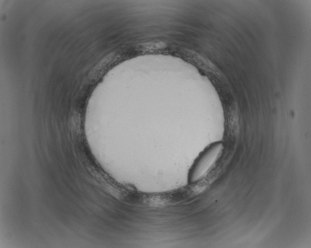 X0000078280565200612011747