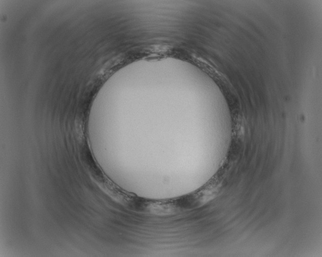 X0000078280568200612011747