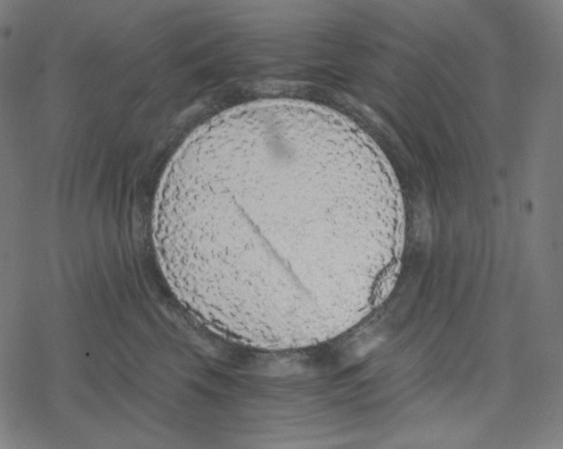 X0000078280569200612011747