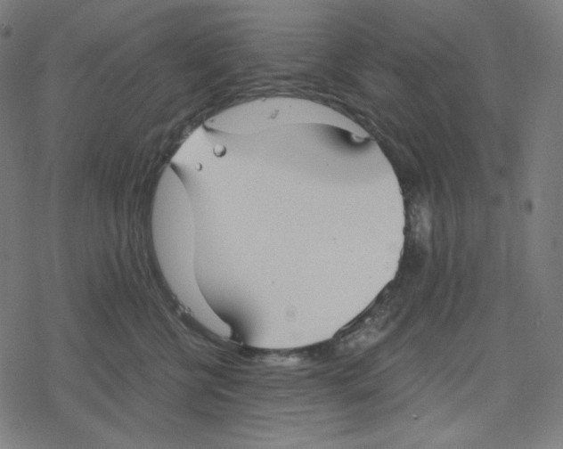 X0000078280570200612011747