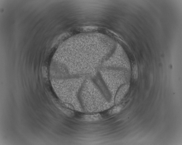 X0000078280571200612011747