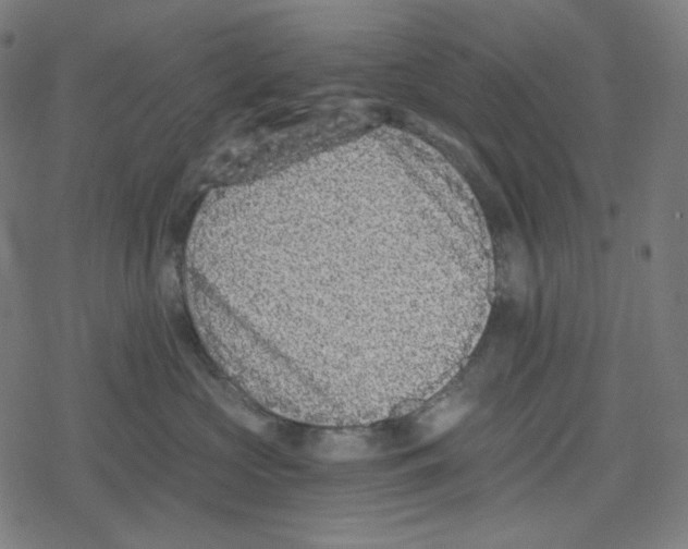 X0000078280573200612011747