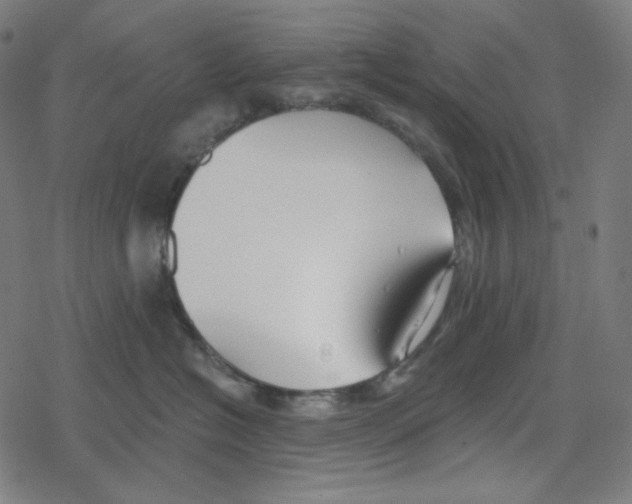 X0000078280574200612011747