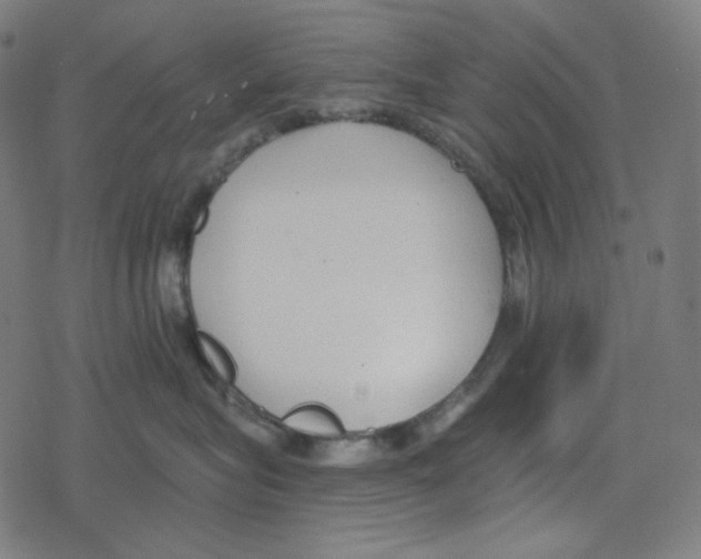 X0000078280575200612011747