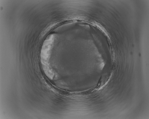 X0000078280577200612011746