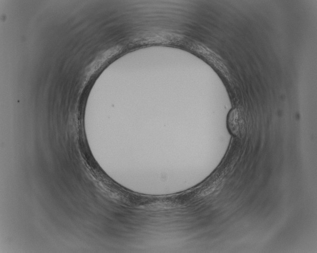 X0000078280578200612011746