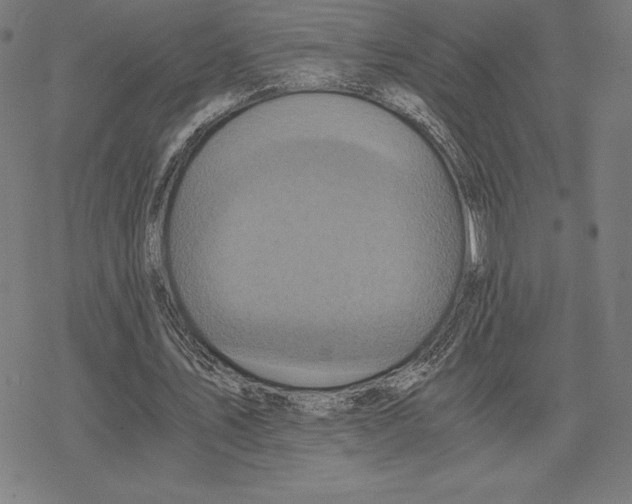 X0000078280579200612011746