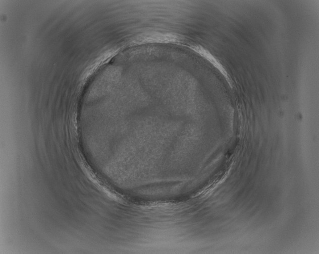 X0000078280581200612011746