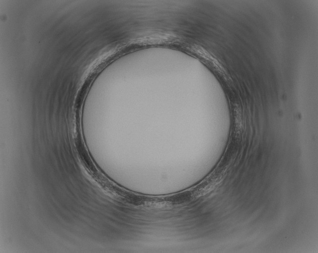 X0000078280582200612011746