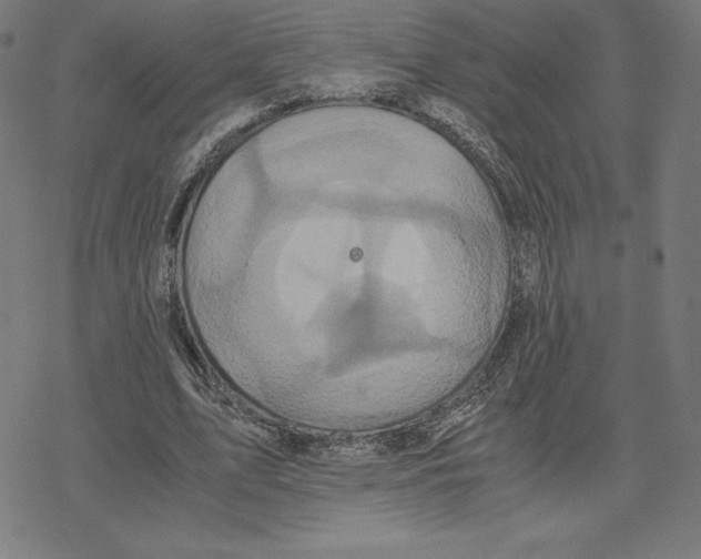 X0000078280583200612011746