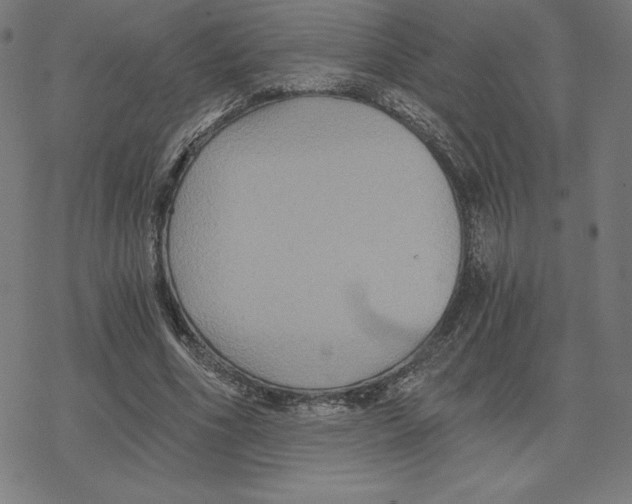 X0000078280586200612011746