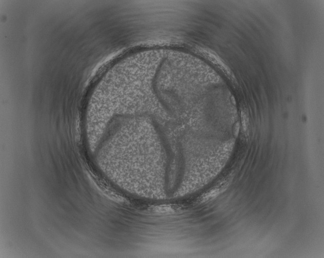 X0000078280588200612011746