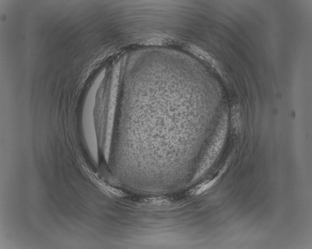 X0000078280589200612011746