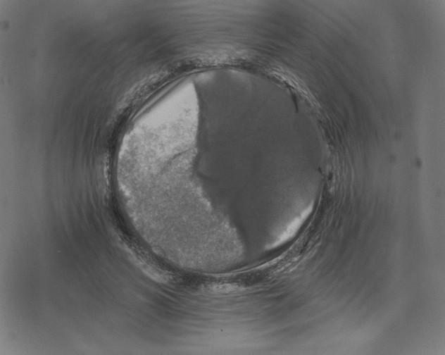 X0000078280590200612011746