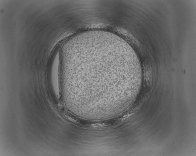 X0000078280591200612011746