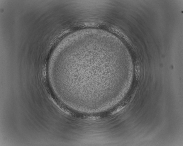 X0000078280593200612011746