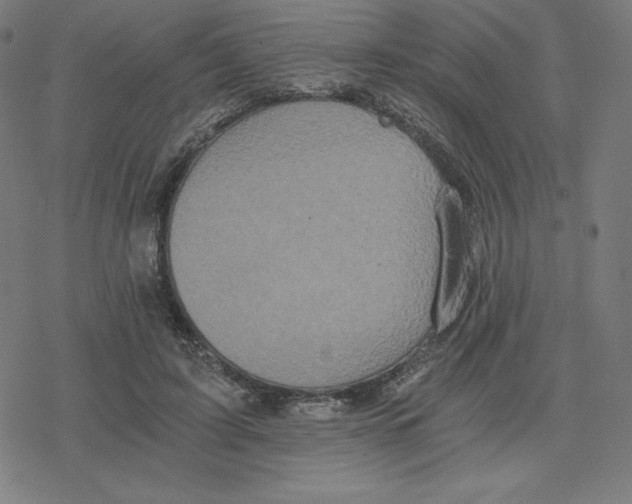 X0000078280595200612011746