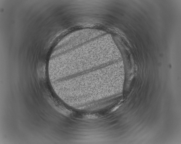 X0000078280596200612011746