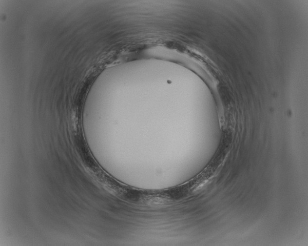 X0000078280597200612011746