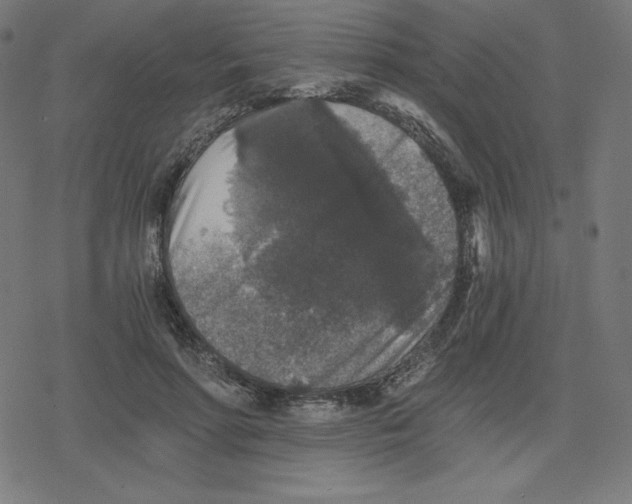 X0000078280598200612011746