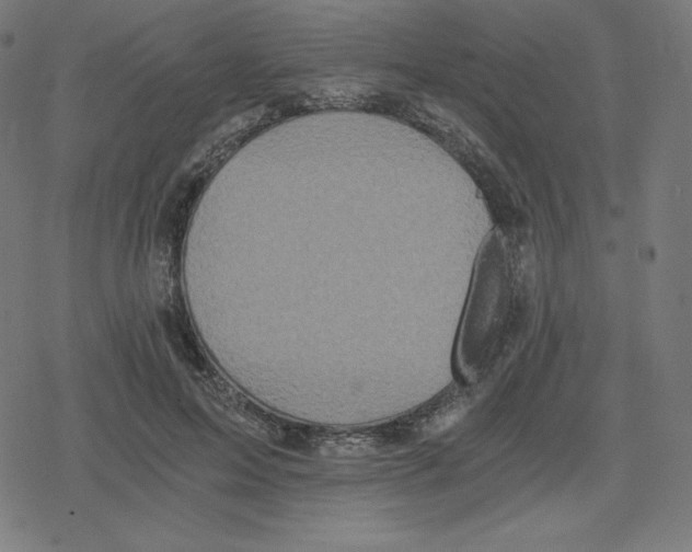 X0000078280599200612011746