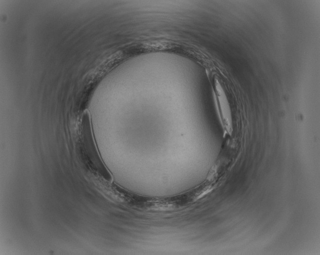 X0000078280601200612011746