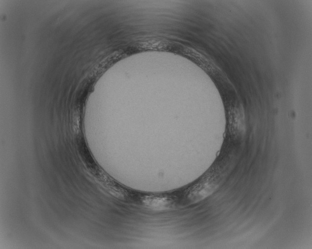 X0000078280602200612011746