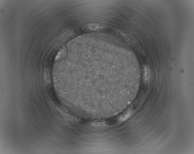 X0000078280606200612011746