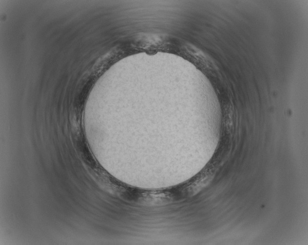 X0000078280607200612011746