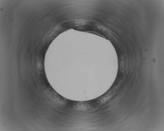 X0000078280608200612011746