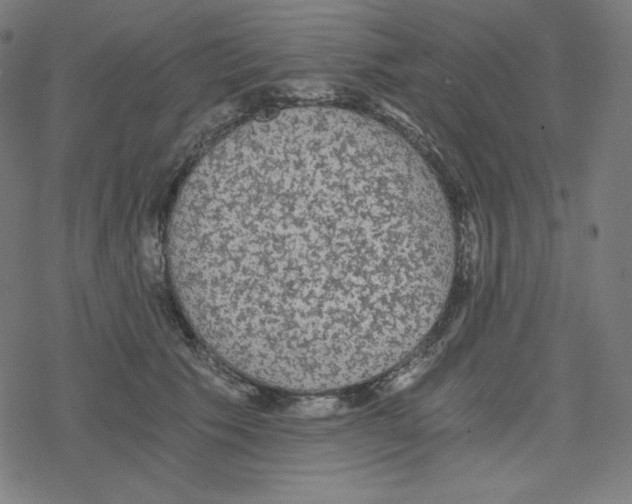 X0000078280609200612011746