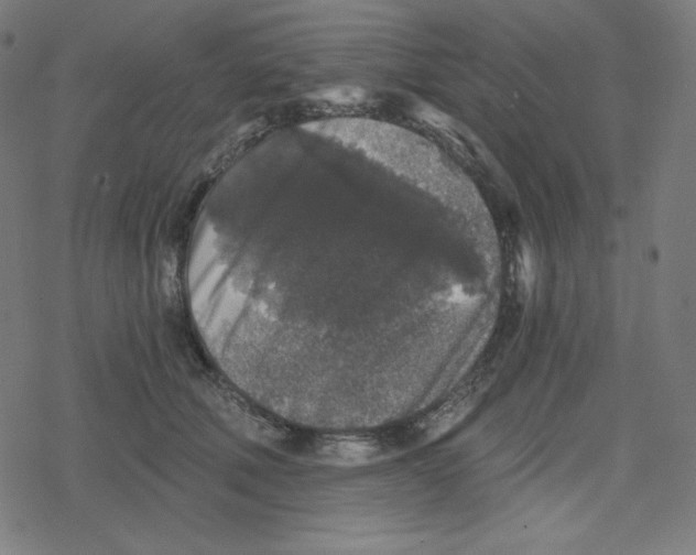 X0000078280610200612011746