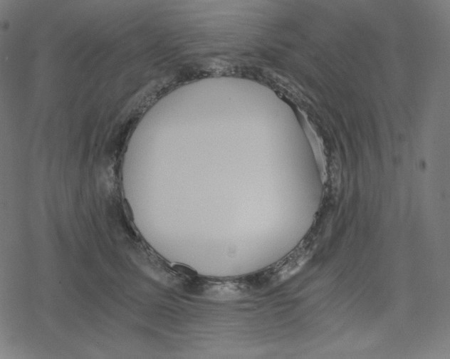 X0000078280611200612011746