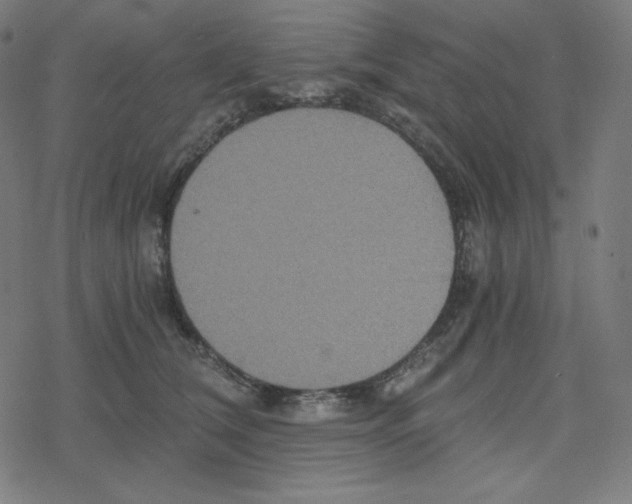 X0000078280612200612011746