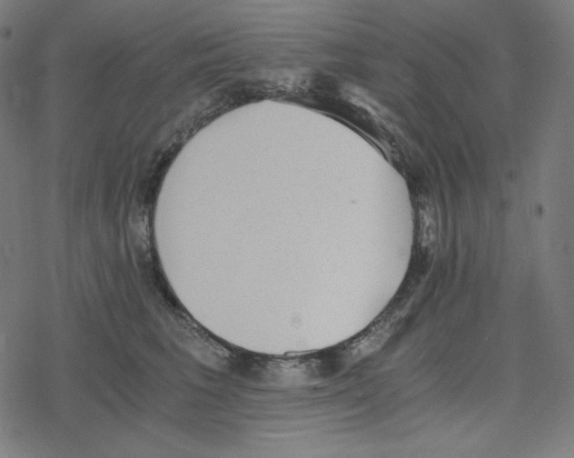 X0000078280613200612011746