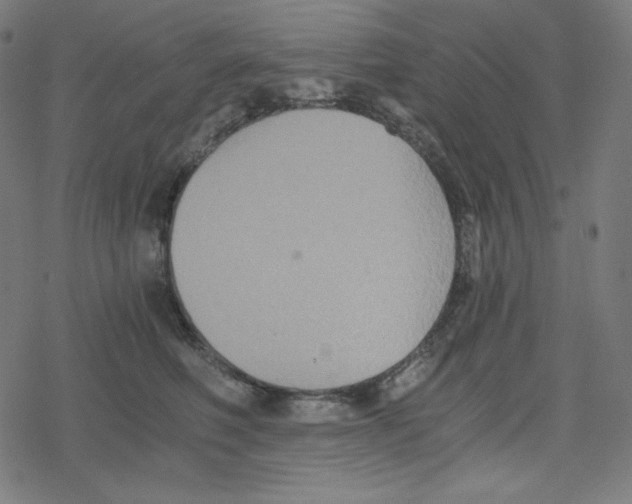 X0000078280614200612011746