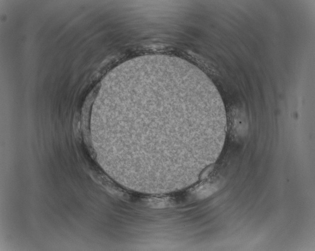 X0000078280615200612011746