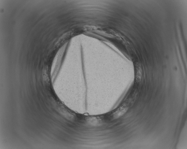 X0000078280616200612011746