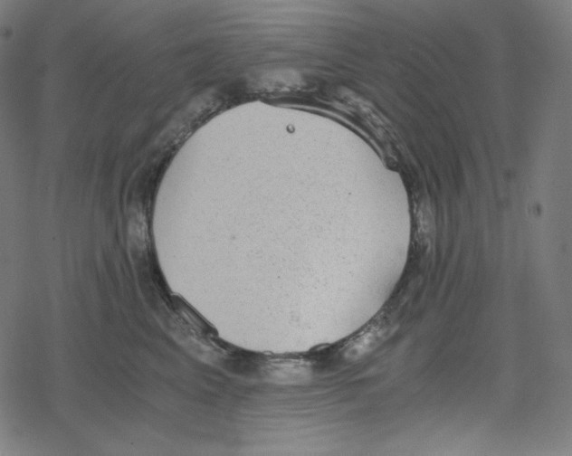 X0000078280617200612011746