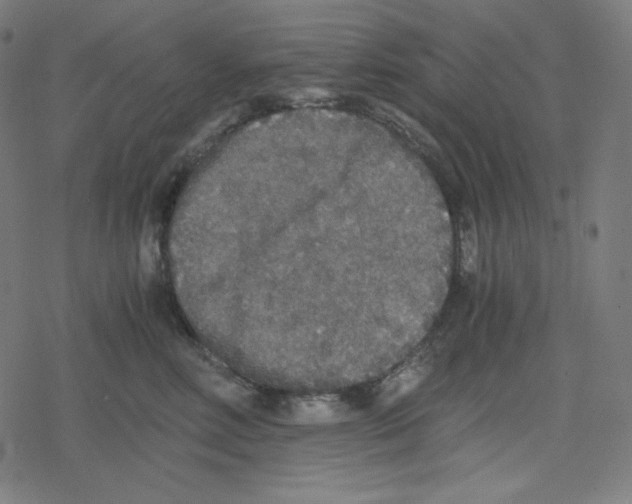 X0000078280618200612011746