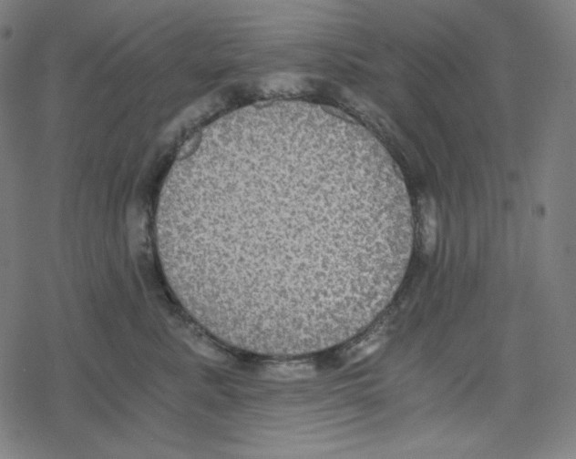 X0000078280619200612011746