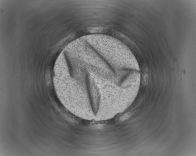 X0000078280620200612011746